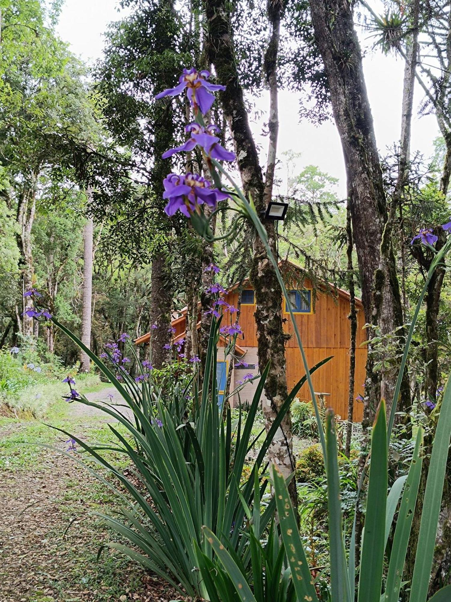 Villa Chale Morada Alma Gemea Campo Alegre  Exterior foto